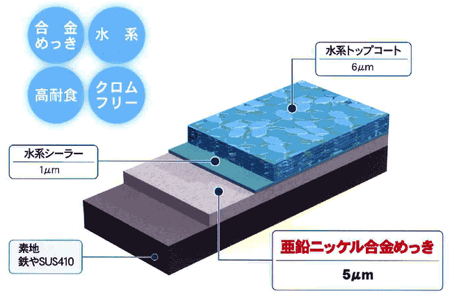 ニューラスパート皮膜構造